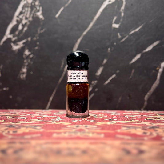 Rose Alba x Sri Lanka Vanilla